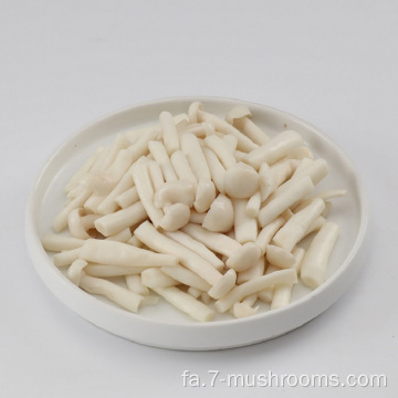 یخ زده یخ زده ی سفید Jade Mushroom-600G